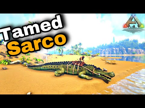 How to tame a Sarco in Ark Survival Evolved