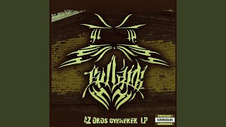 Életkedv song artwork