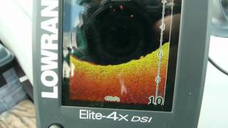 Эхолоты lowrance эхолот elite-4 dsi