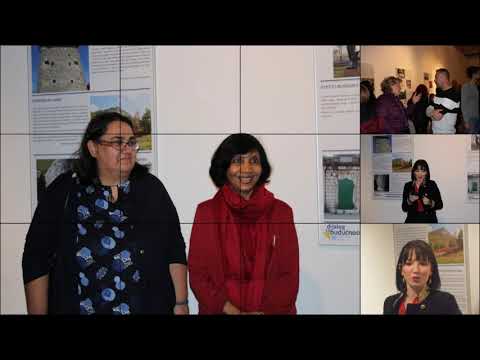 Lokalno kulturno naslijeđe BiH