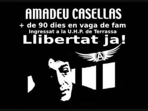 Punkalipsiss Now- Amadeu Casellas