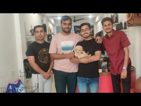 Bhopal pet shop dog goldenretriver puppy गया अपने new घर 🏡😍|Bhopal dog house .....