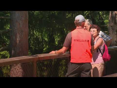 Baumwipfelpfad im Nationalpark Bayerischer Wald