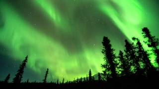 Aurora Borealis Denali National Park