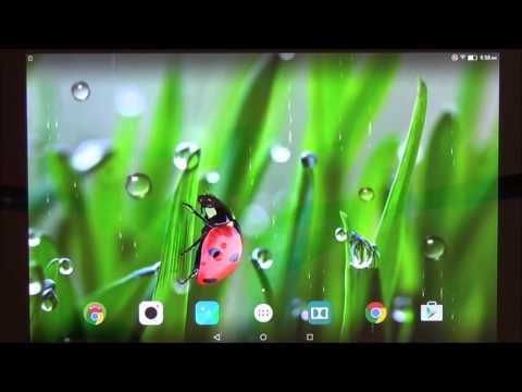 Macro Spring Live Wallpaper Video