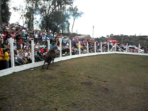 Luan Rodeio Solano 2011
