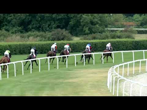 2019.07.28. 08. futam - KISBÉR DÍJ (HUN Gd-2) (NGL-V.)