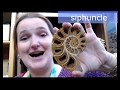 Chatting With NDGS Paleo Ammonites