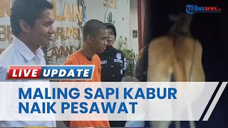 Maling Sapi Malah Buat Barang Bukti Sendiri, Sempat Rekam Perjalanan saat Mencuri Sapi Sebelum Kabur