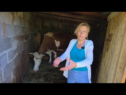 Težak život, veliko srce pomozimo joj zajedno