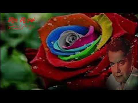 فريد الأطرش - الربيع 5-1 Farid Elatrtrash - El Rabieaa المقدمة الموسيقية روائع أغاني الزمن الجميل