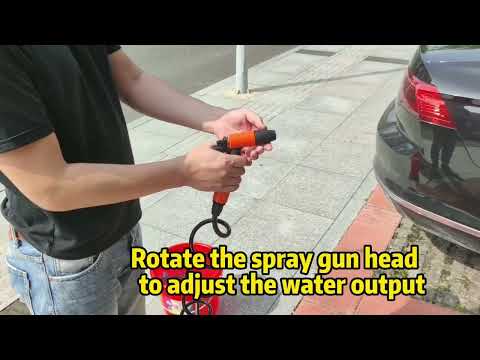 SEAFLO 41 Series Portable Washdown Pump Kit