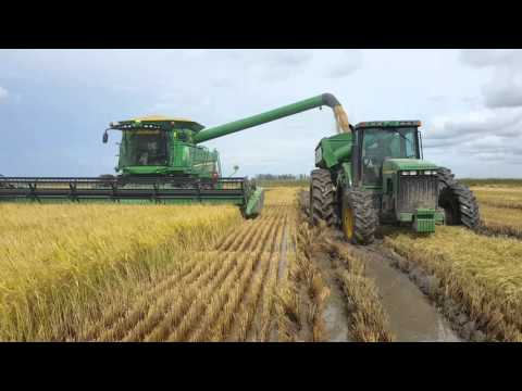 John deere s660 con draper 630f cosechando arroz