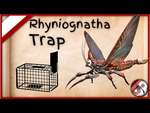 Best Rhyniognatha Traps! Trapping The Sky Giga! Ark