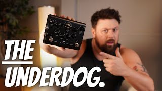 Video thumbnail for Best High Gain Sleeper Pedal - Blackstar Dept. 10 Dual Distortion by Jake Leigh Guitar
