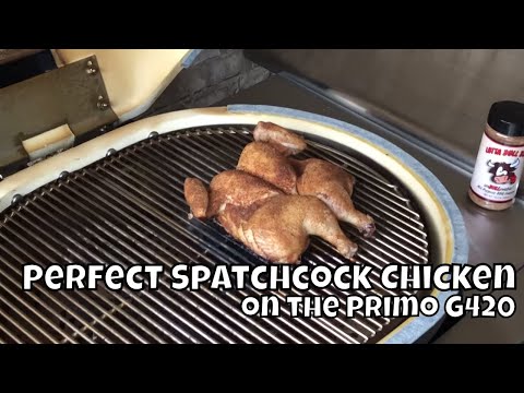 Spatchcock Chicken and Veggie Kebabs| Perfect Roasted Chicken on the Primo G420