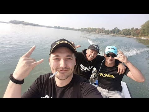 Som na vertikalu, Dunav kod Bogojeva