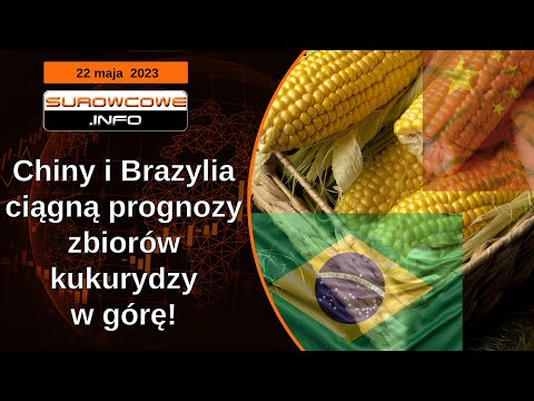 Surowcowe info 22 maja 2023 – Chiny i Brazylia ciągną prognozy zbiorów kukurydzy w górę!