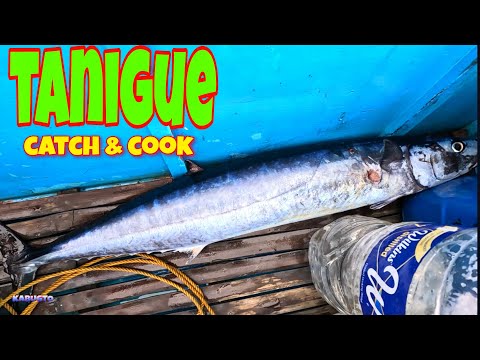 vlog375- P1- Makapigil Hiningang Paghuli ng Tanigue