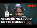 Le Santal L Odeur Qui A Conquis Le Monde ARTE