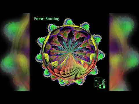 Advanced Suite - Forever Blooming | Full Album