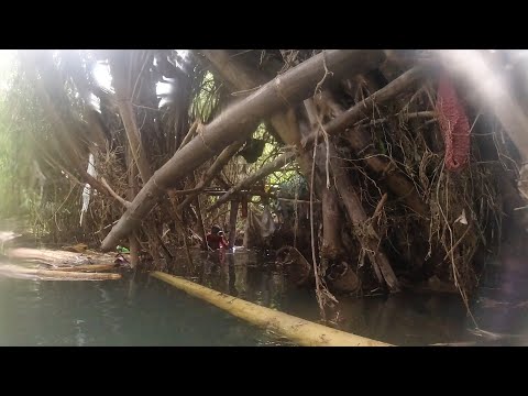 SE02EP105 - PUGAD ng HITO sa ILALIM ng NATUTUYONG KAWAYANAN (Cach & Cook) San Pablo City, Laguna