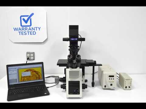 Olympus IX73 Fluorescence Inverted Microscope (New Filters)