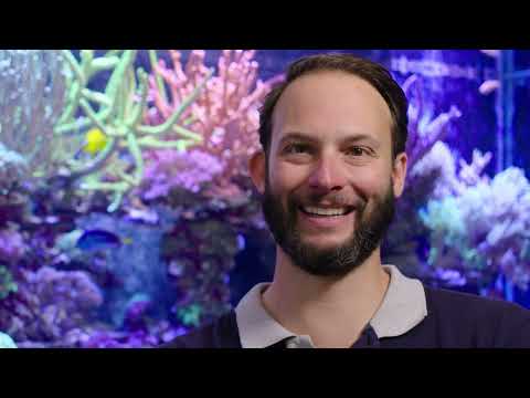 Reef Systems Coral Farm Giuseepe's Story