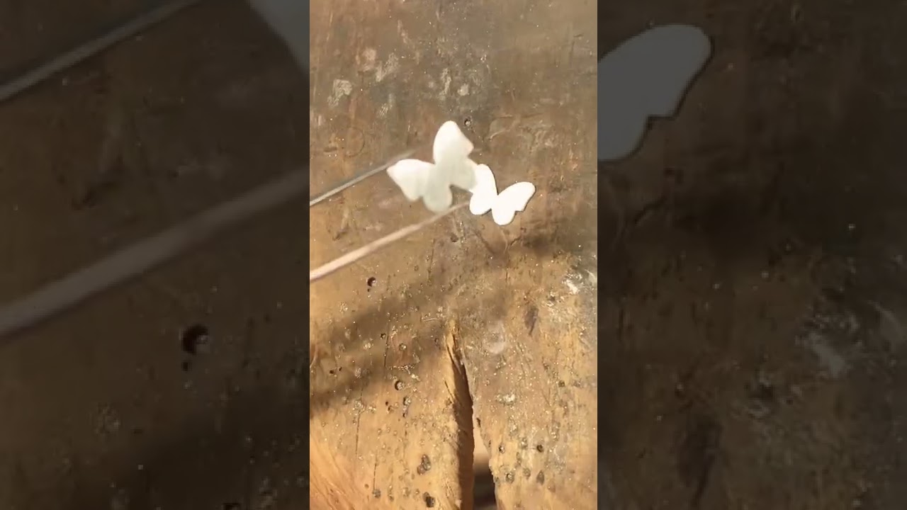 Watch Proceso Anillo Mariposa 🦋 pieza de plata .925 Now Proceso Anillo Mariposa 🦋 pieza de plata .925