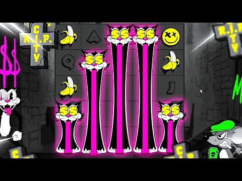 3 CAT FEATURE PAID VERY WELL !!! RIP CITY