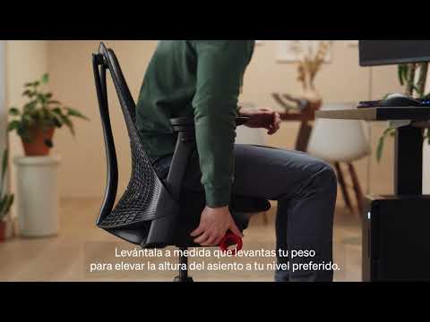 Altura del Asiento