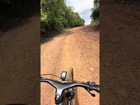 Mina d água na fazenda Linda Flora em Abatiá Pr