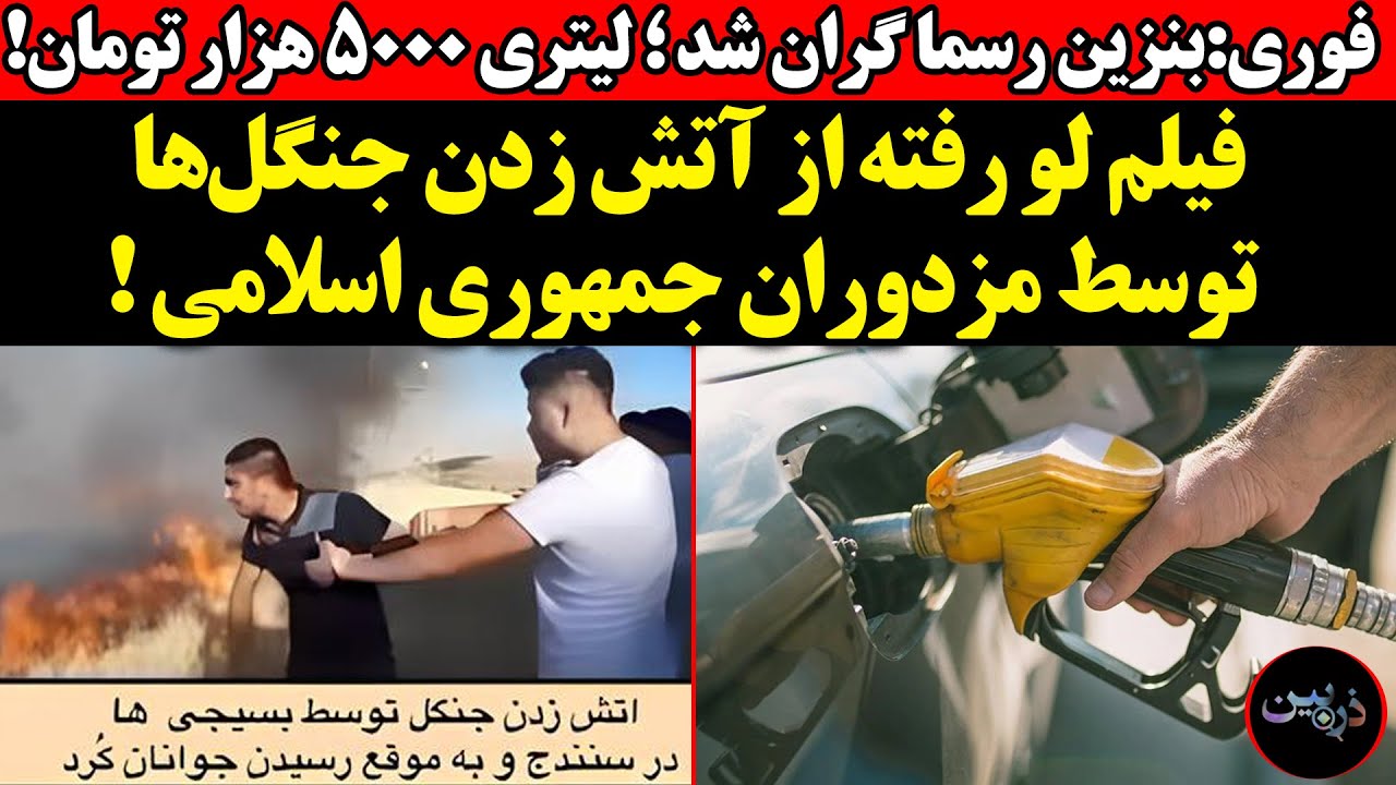 فیلم لو رفته از آتش زدن جنگل‌ها توسط مزدوران ج.ا! فوری:بنزین رسما گران شد ؛ لی?