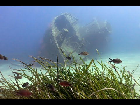 Paolo Spannox - IL CAMPO DEI MIRACOLI