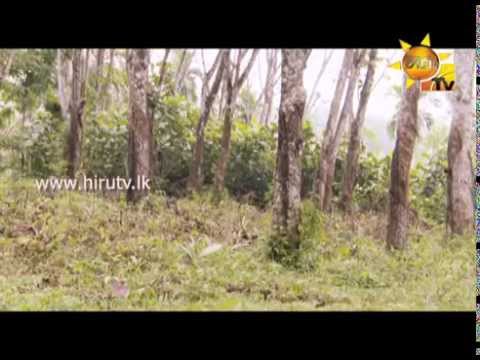 Hiru TV