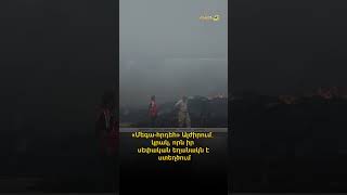 «Մեգա-հրդեհ» Ալժիրում․ կրակ, որն իր սեփական եղանակն է ստեղծում