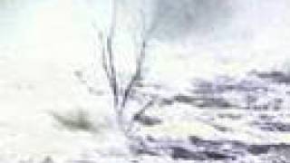 SKINNY PUPPY Pasturn by Nasty Byte