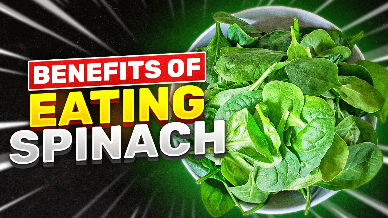 Spinach: Daily Benefits for Energy and Iron Levels