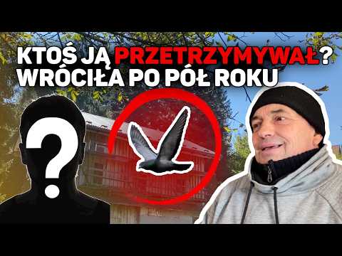 Someone was holding her captive!? She returned after HALF A YEAR! Carrier Pigeons 2026