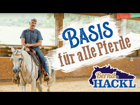 Die Basis für alle Pferde | Bernd Hackl erklärt! 🐴