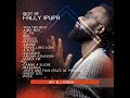 Best Of Fally Ipupa 2025 Dj Kros