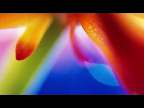 La Sucia Escena - Me Cago