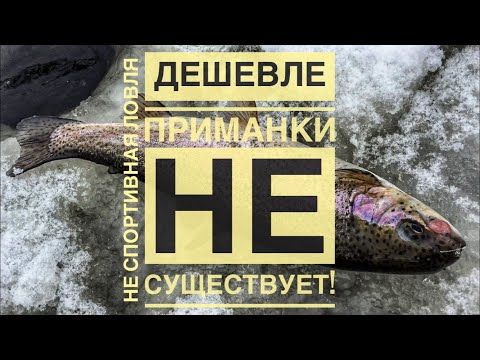 ХАЛЯВА! Ловля форели на бесплатную приманку!
