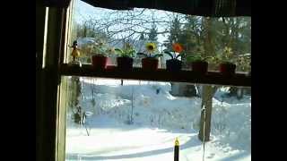 20140219 IMAG0018 While the Candle Still Burns by Thriving Ivory Dancing Solar