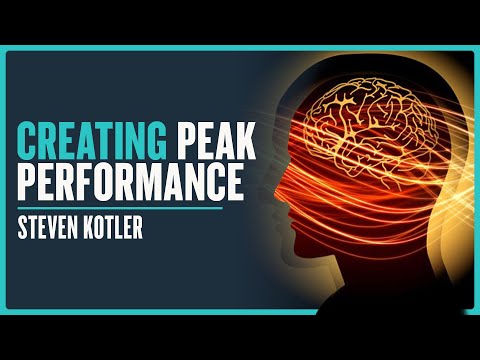 A Complete Recipe For Peak Performance - Steven Kotler | Modern Wisdom Podcast 305