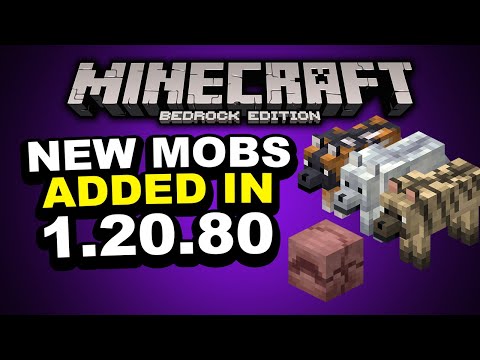 EVERYTHING NEW in Minecraft Bedrock Edition 1.20.80 Update!