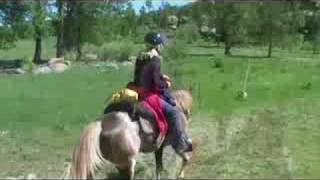 preview picture of video 'Riding Colorado Trip 2008'