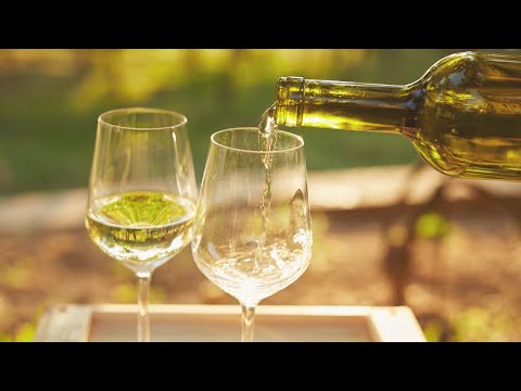 The Best White Wines For Beginners | White Wine Regions | An Easy Guide