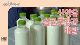 [나는농부다 248회] 산양유 살균 포장과 배달