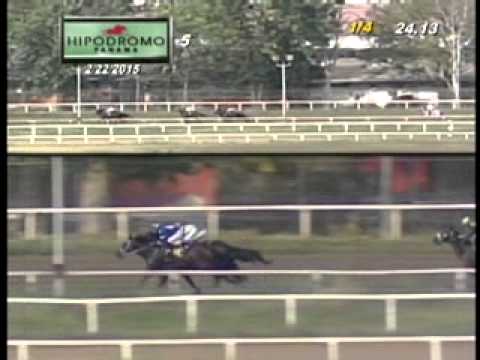 5TA CARRERA  DOMINGO 22 DE FEBRERO 2015 HPR